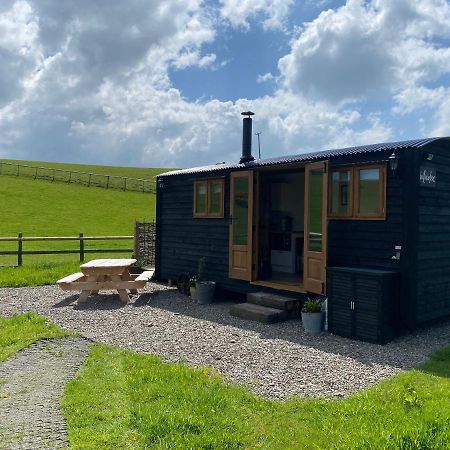 Silver Fern Glamping Hotel Aberystwyth Exterior photo