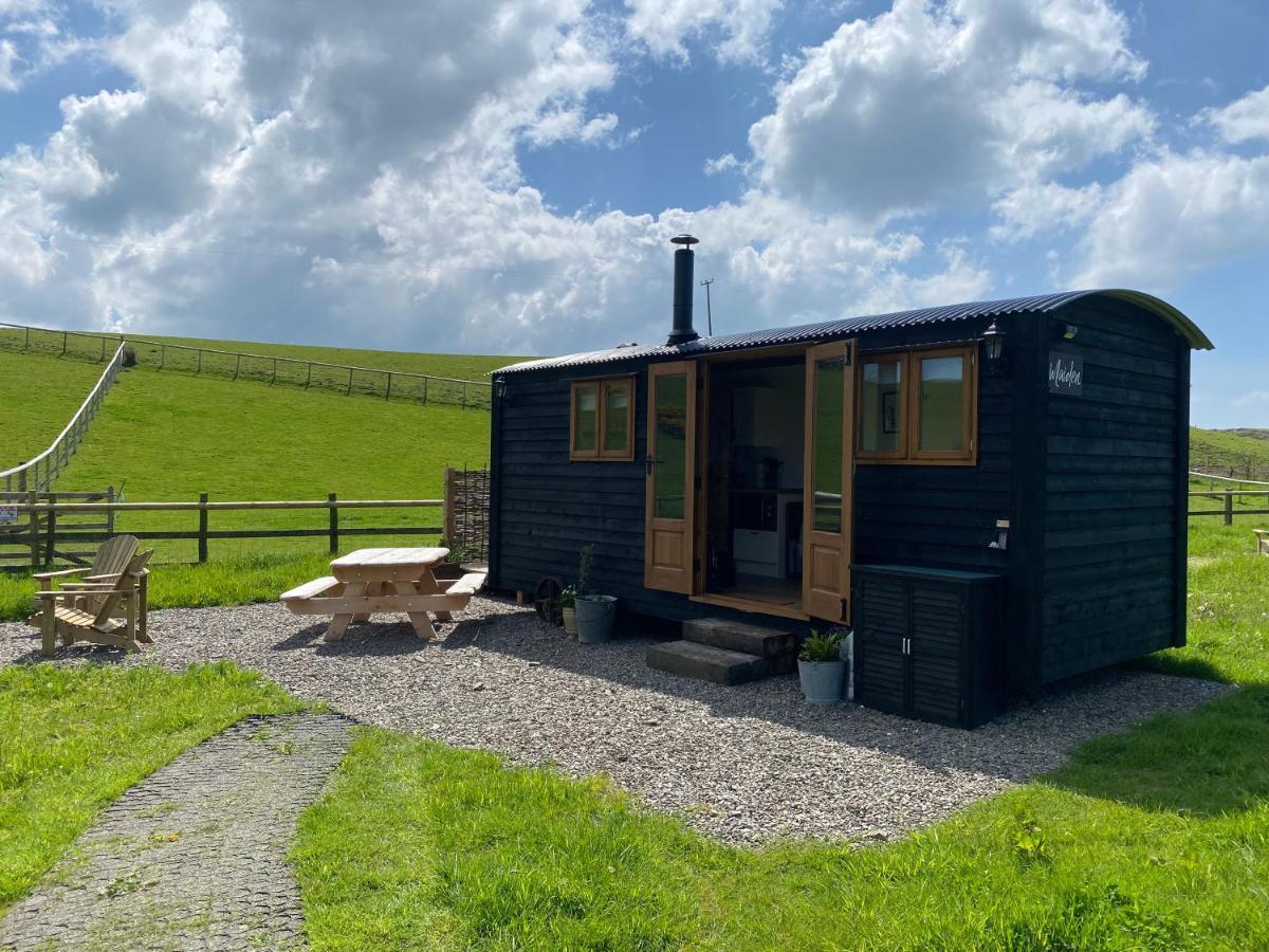 Silver Fern Glamping Hotel Aberystwyth Exterior photo